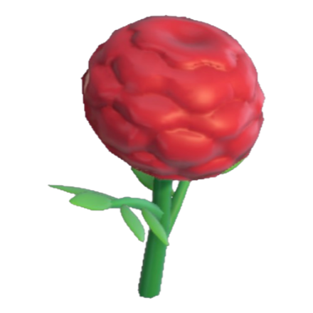 Marigold Product Image
