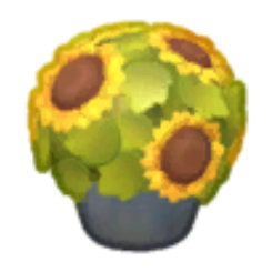 Days Of Plenty Flower Bucket Product Image