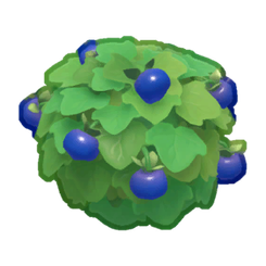 Farmhouse Blueberry Bush Product Image