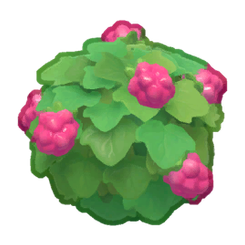 Farmhouse Raspberry Bush Product Image