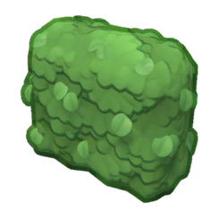 Tea Garden Hedge Product Image