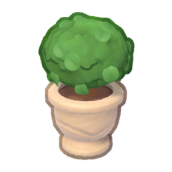Tea Garden Potted Round Topiary Product Image