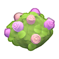 Tea Garden Rose Bush Product Image