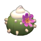 Cactus Cream Product Image