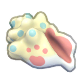 Decorative Moppu Conch Product Image