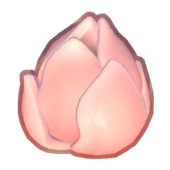 Ginger Product Image
