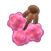 Lychee Product Image