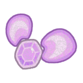 Platform Figment Product Image