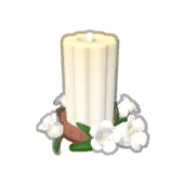 Tall Bellbutton Candle Product Image